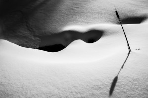Ombres hivernales
